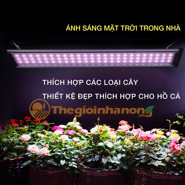 Đèn LED hồ cá thuỷ sinh siêu mỏng