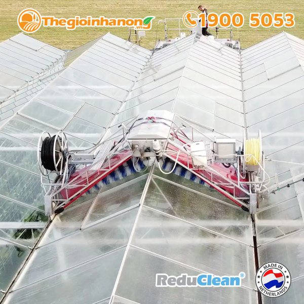 Dung dịch rửa sơn chống nóng chuyên dụng ReduClean