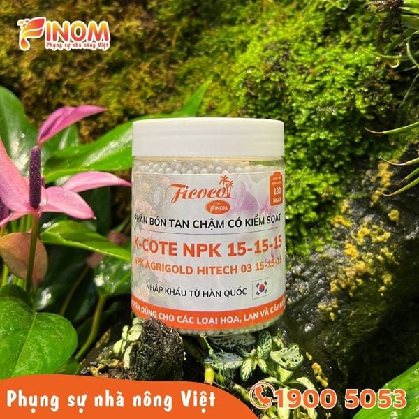 PHÂN TAN CHẬM K-COTE 15-15-15+TE - 250G