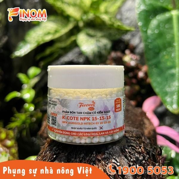 PHÂN TAN CHẬM K-COTE 15-15-15+TE - 50G