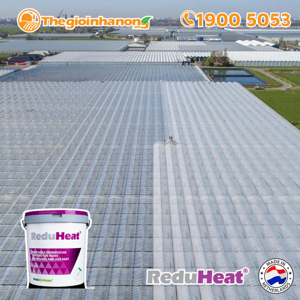 Sơn chống nóng nhà màng không rửa trôi Reduheat
