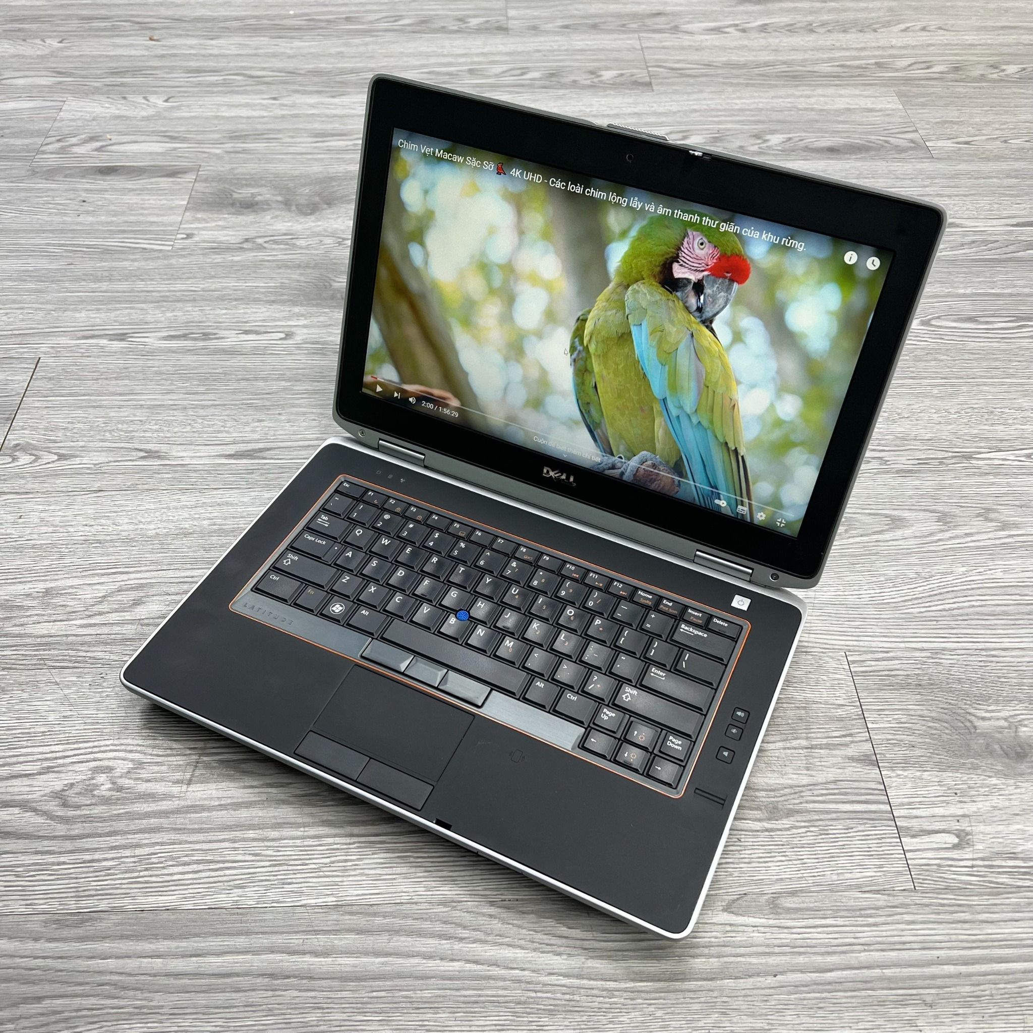 Dell latitude e6420 nvidia nvs 2025 4200m