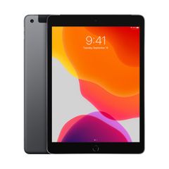 iPad Gen 7 2019 10.2-inch 128GB WiFi + 4G Space Gray MW072