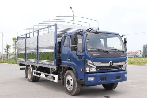  ĐỒNG VÀNG D8, GƯƠNG MẶT SÁNG GIÁ TRONG LÀNG XE TẢI 8 TẤN 