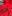 Áo ngắn tay cotton A15(Pre-order)