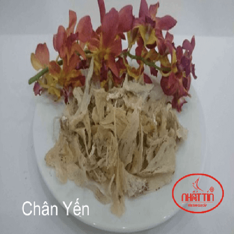  CHÂN YẾN THÔ LÔNG (100Gr) 