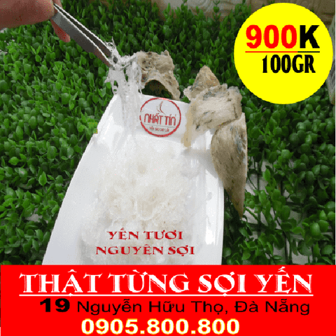  YẾN TƯƠI NGUYÊN SỢI (100GR) 