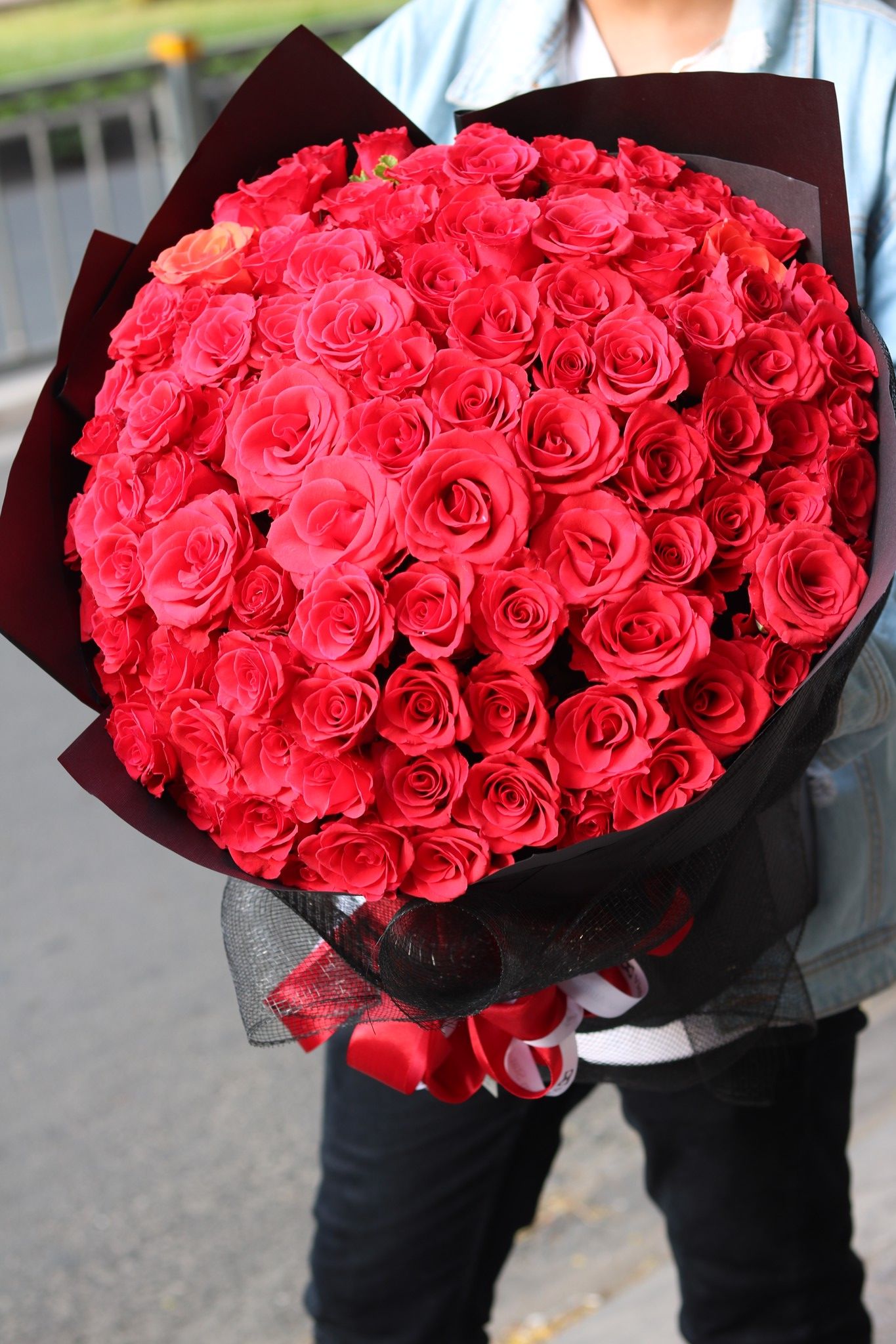 RED ROSE DALLAT 99T