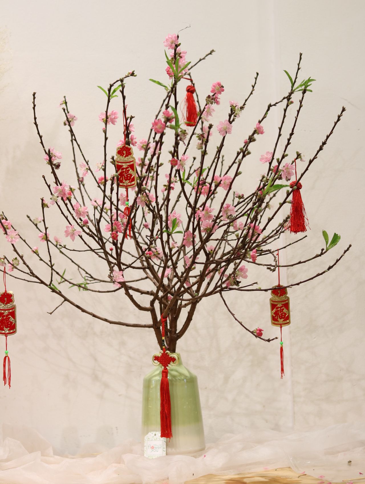 ĐÀO CÀNH HÀ NỘI – Nhà Hoa Flower You
