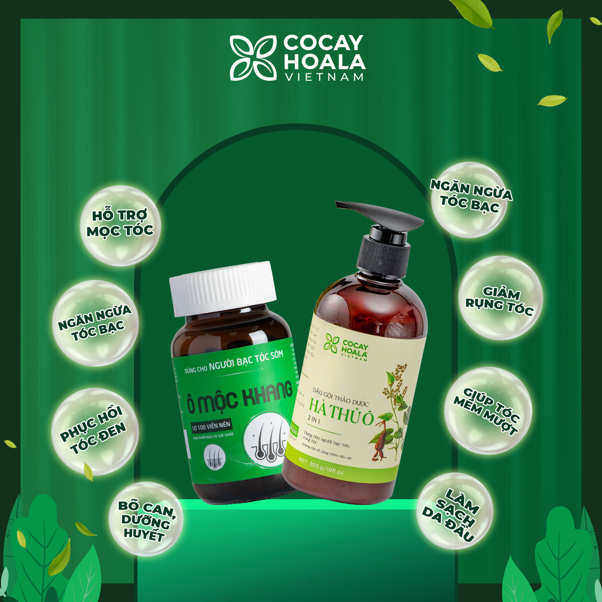 Hà Thủ Ô Cô Viên DVi Nature DViNatureComVn #38 Hà Thủ Ô Cô Viên DVi Nature DViNatureComVn