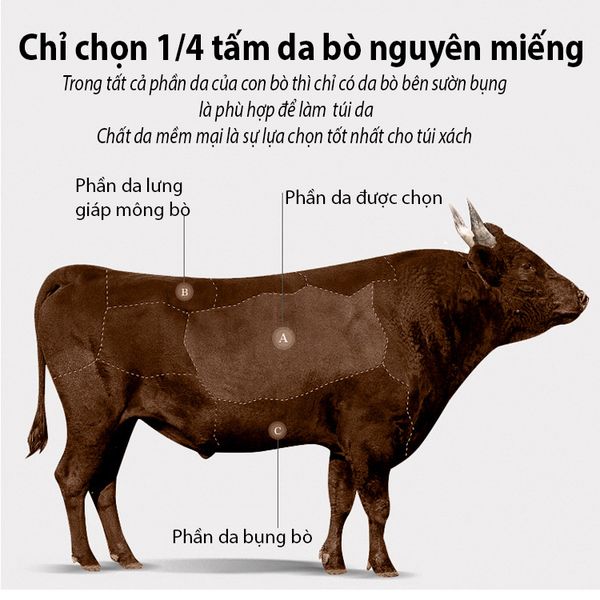 Túi đeo bao tử da bò đa năng - 210920