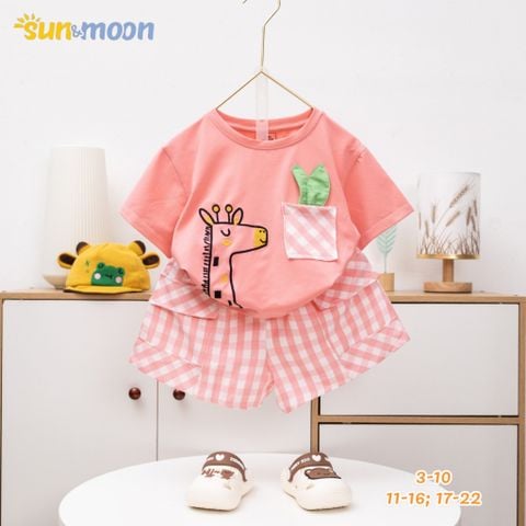  Bộ áo thun túi Caro Hươu Quần caro 