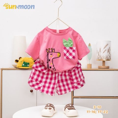  Bộ áo thun túi Caro Hươu Quần caro 