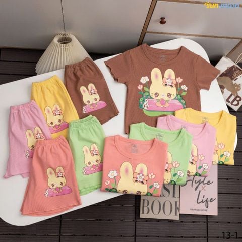  Bộ đùi thun borip thỏ hoa 