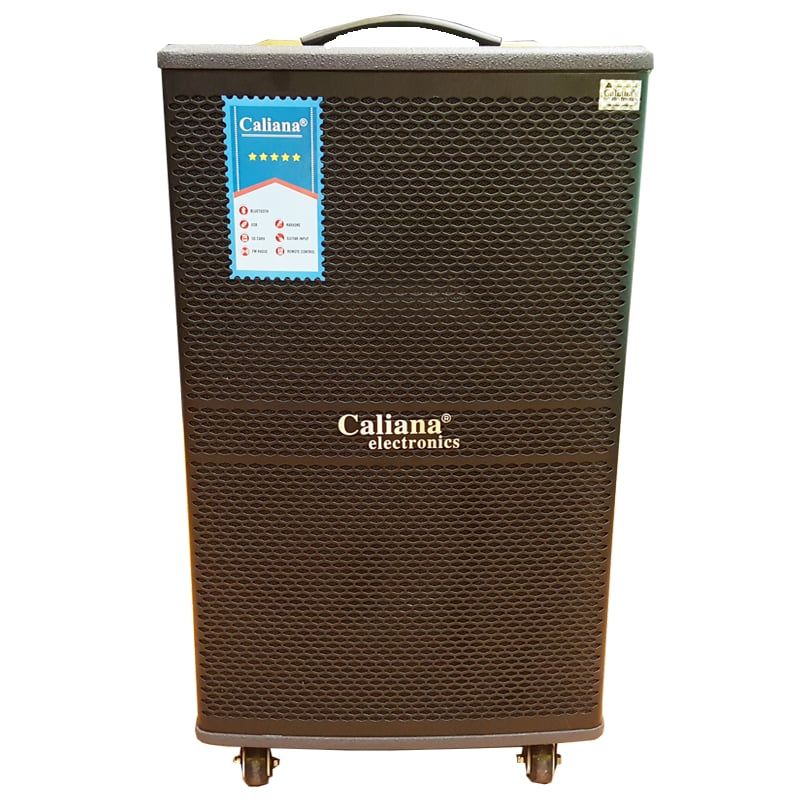  Loa kéo di động Caliana WD-12A 