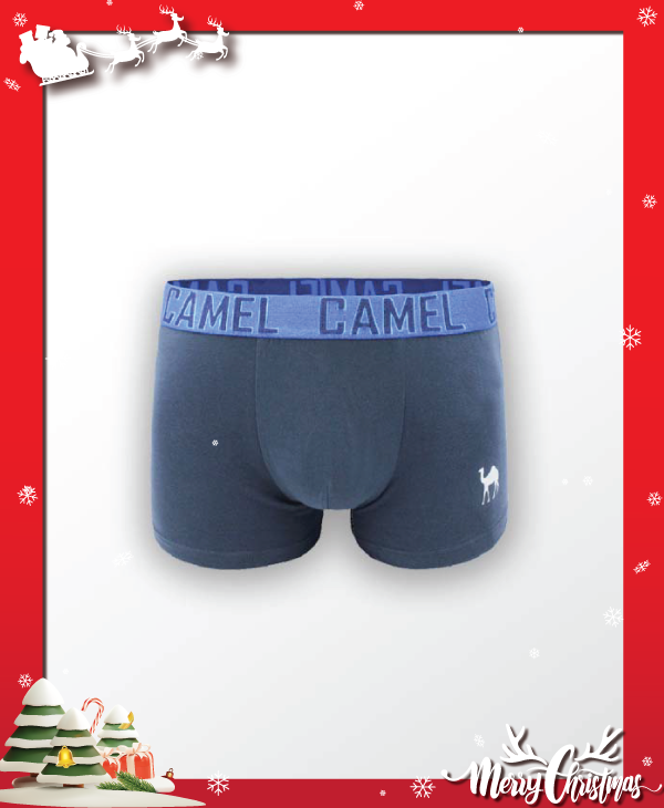 Quần lót nam cao cấp Camel CMU012