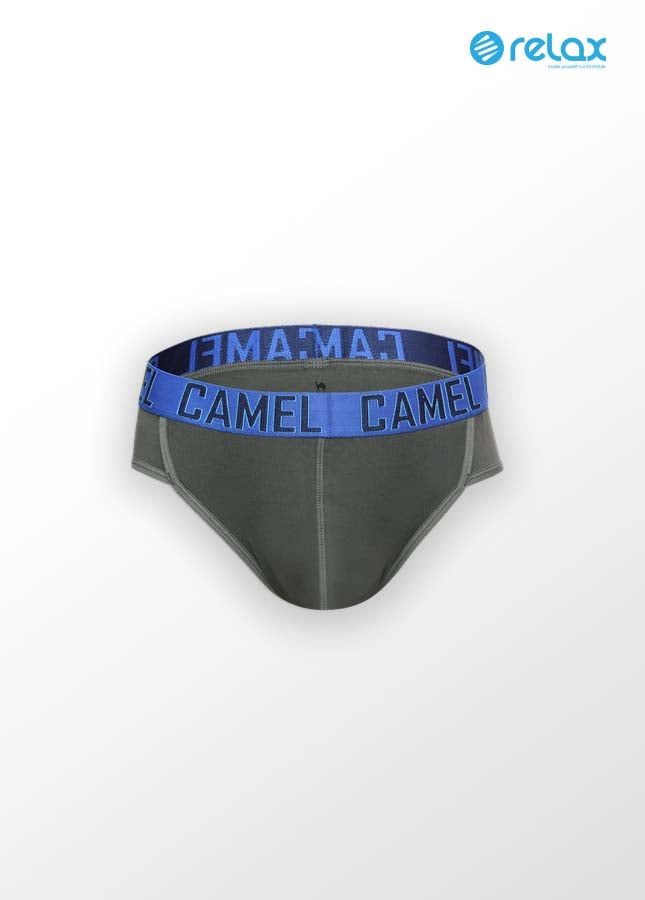 Quần lót nam cao cấp Camel CMU013
