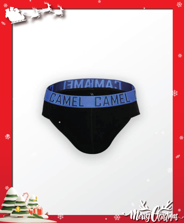 Quần lót nam cao cấp Camel CMU013