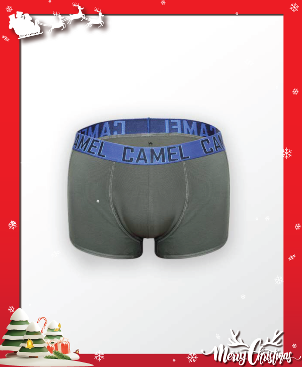 Quần lót nam cao cấp Camel CMU014