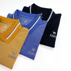Áo thun  CAMEL CWA001-002