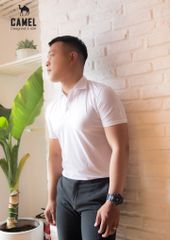 ÁO THUN NAM CAO CẤP CAMEL- CMA008