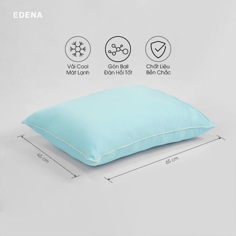 Ruột gối Icypilo