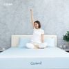 Nệm Coolena