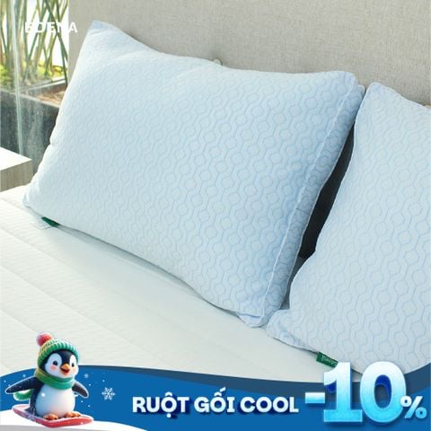 Ruột Gối Cool