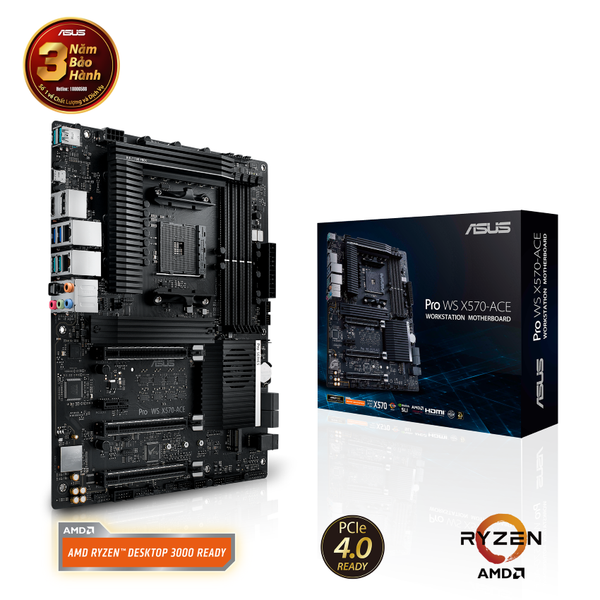 Main Asus Pro WS X570-ACE
