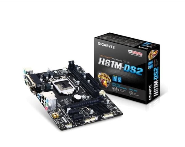 MAIN GIGA H81M-DS2 NEW