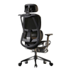 Ghế CTH919 Ergonomic Công Thái Học Black