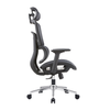 Ghế E-Dra EEC220 công thái học ergonomic Black