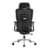 Ghế E-Dra EEC219 Công Thái Học Gaming Black