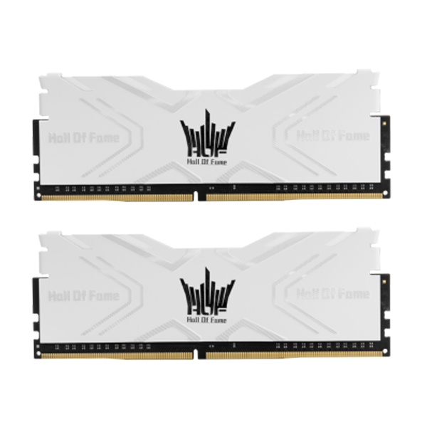 DDR4 16GB GALAX HOF BUSS 3200 CAS 14 (KIT 2*8GB)