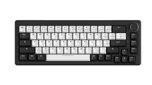 Bàn Phím Cơ DareU EK65s White - Black PBT, Led RGB, 2 Sides RGB Strip, Type-C