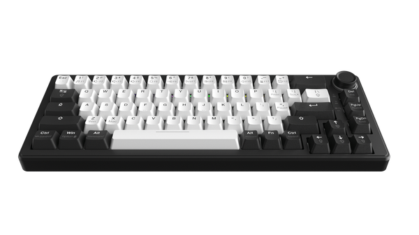Bàn Phím Cơ DareU EK65s White - Black PBT, Led RGB, 2 Sides RGB Strip, Type-C