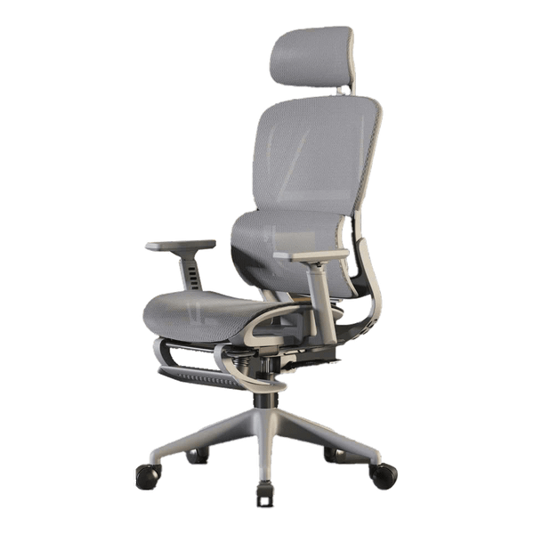 Ghế CTH919 Ergonomic Công Thái Học Grey