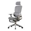 Ghế CTH919 Ergonomic Công Thái Học Grey