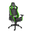 GHẾ ALPHA GAMER GAMING CHAIR Polaris Racing Series - MÃ AGPOLARISRE-BK-GRN (Black/Green)