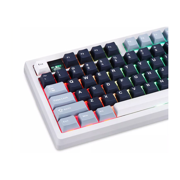 Bàn Phím Cơ Darmoshark TOP98 Tri-mode White RGB Wireless