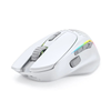 Chuột Glorious Model I 2 Wireless Công Thái Học Matte White
