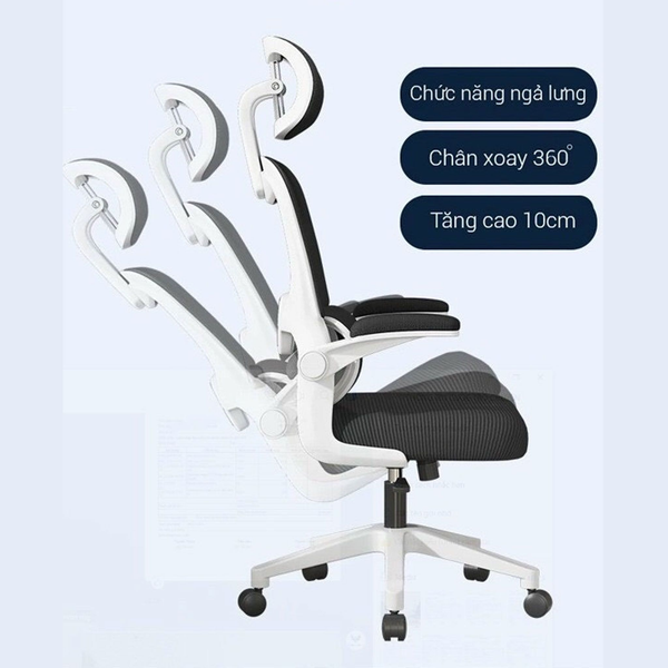 Ghế TMS09 Ergonomic Công Thái Học Black