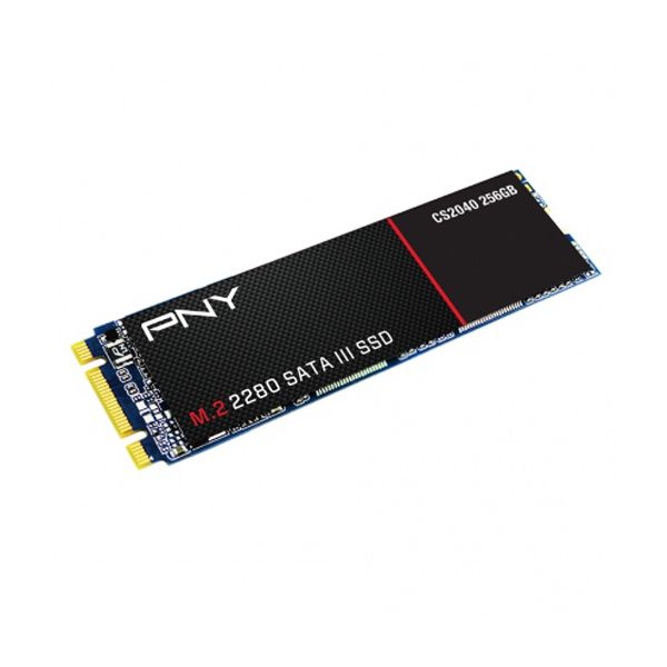 SSD PNY 256GB CS2040 2280 (chuẩn M2-sata) NEW