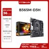 MAIN GIGA B365M-D3H NEW