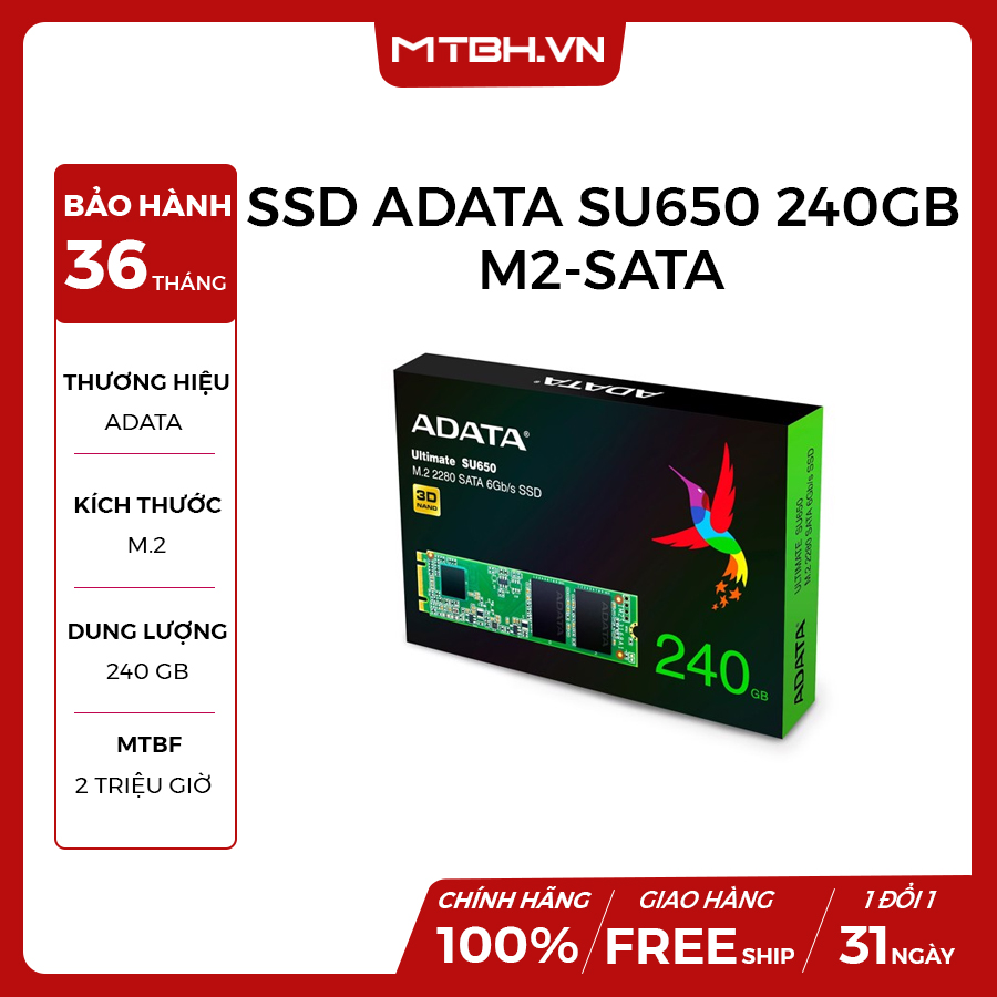 SSD ADATA SU650 240GB M2-SATA – Máy Tính Biên Hòa