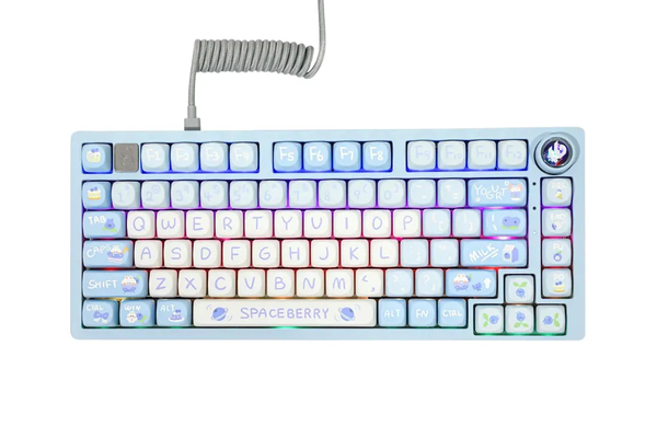 BÀN PHÍM CƠ LEOBOG Hi75 GAMING (Phiên bản Xanh dương + trắng/ Space berry/ Nimbus V3 switch)