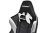GHẾ AKRACING CORE SERIES LX GAMING WHITE