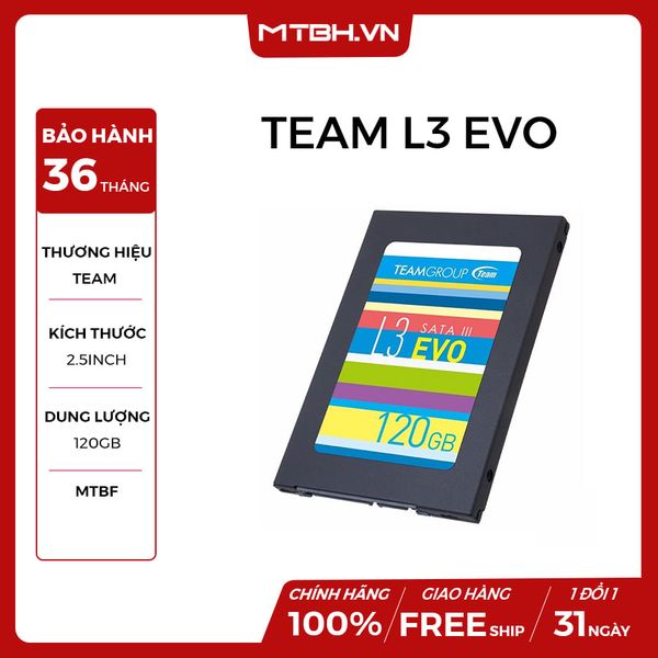 SSD TEAM 120GB L3 EVO NEW BH 36TH