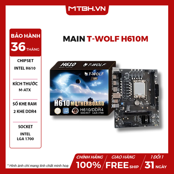 Main T-WOLF H610m M.2 DDR4