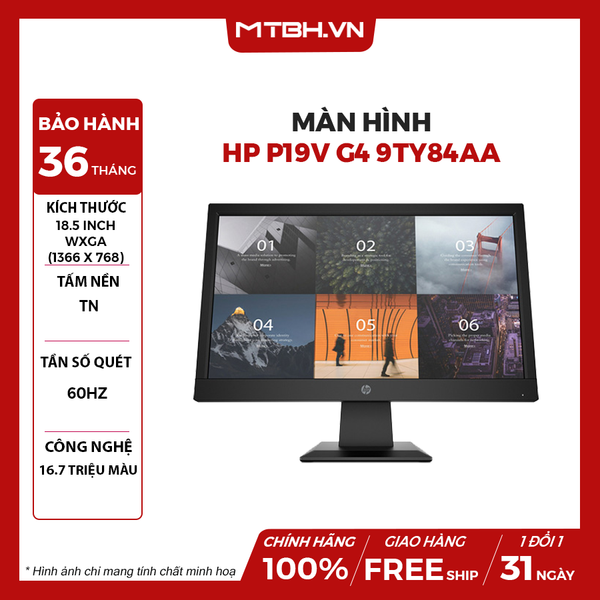 Màn hình máy tính HP P19v G4 9TY84AA